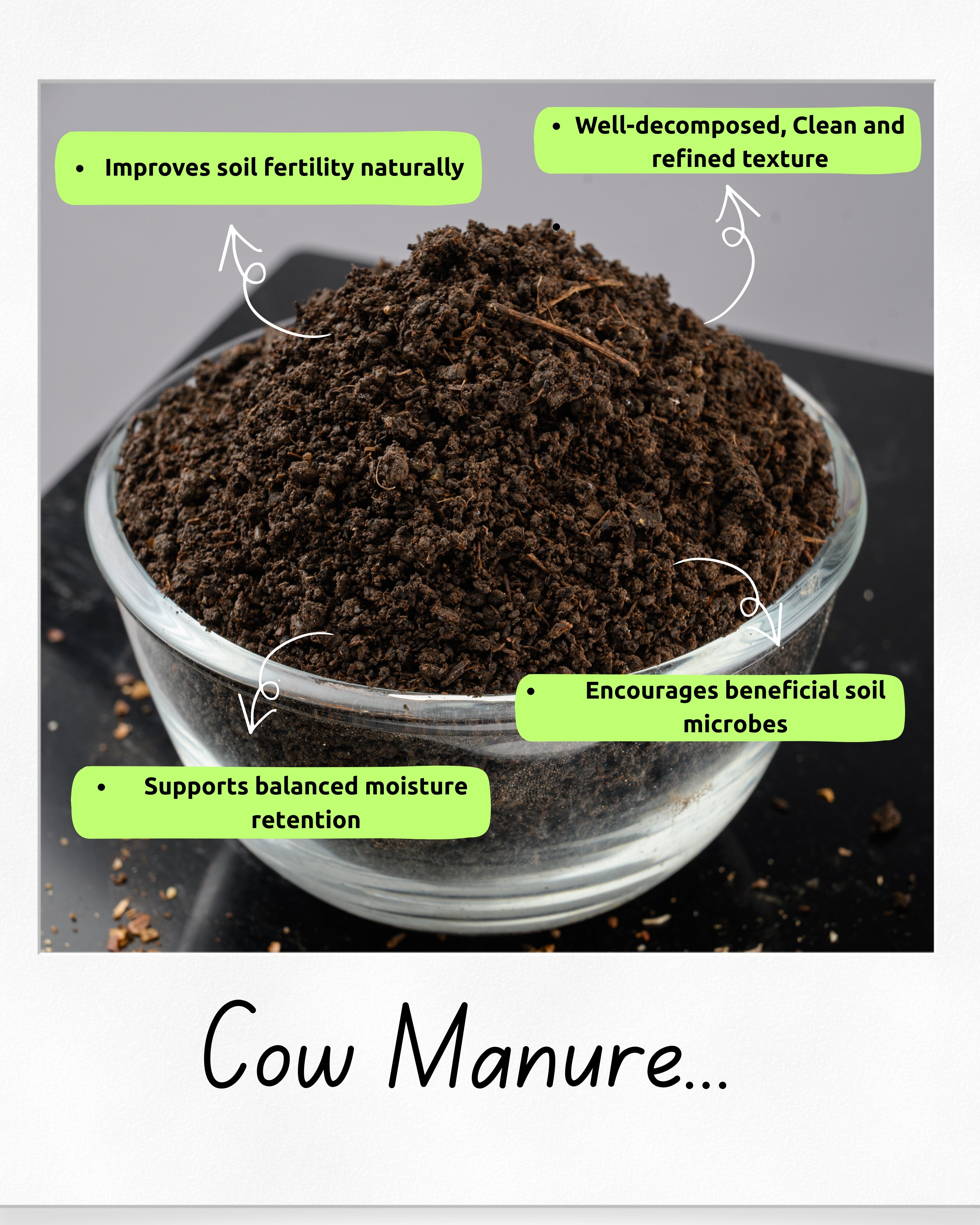 Cow Manure