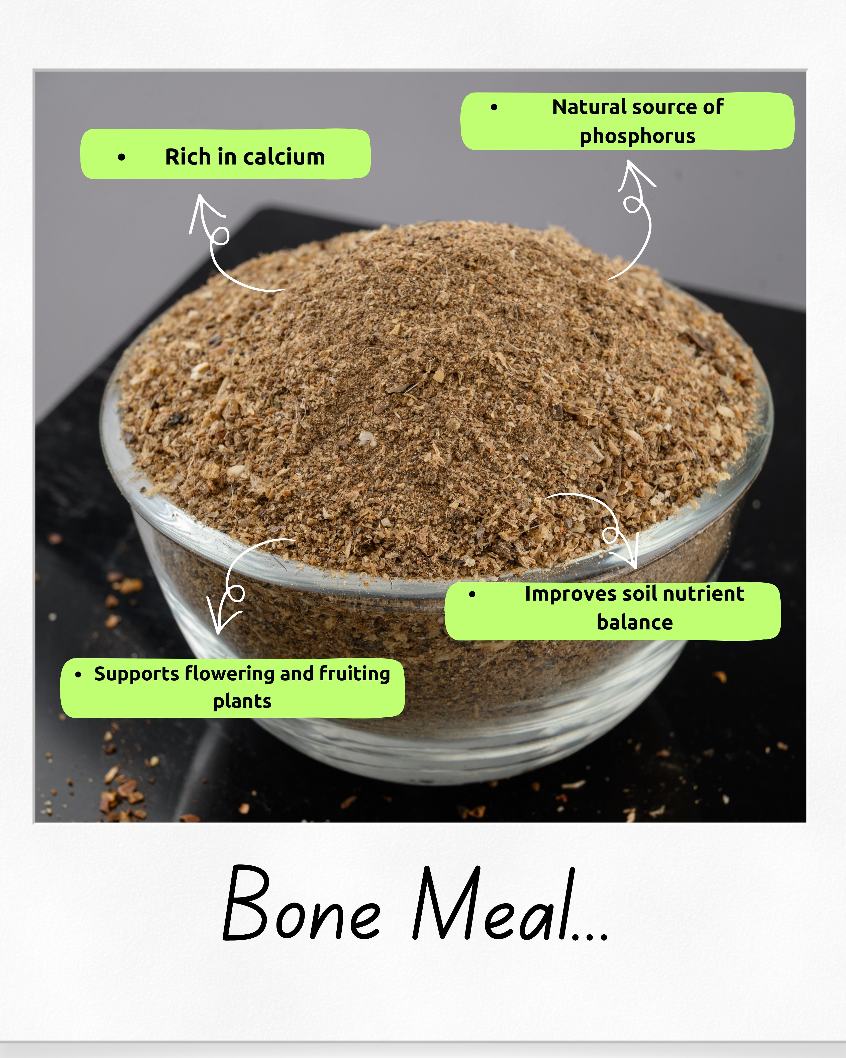 Bone Meal